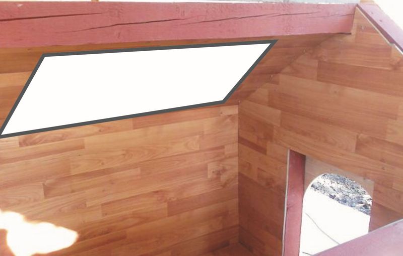 incazire-cusca-caini-tavan